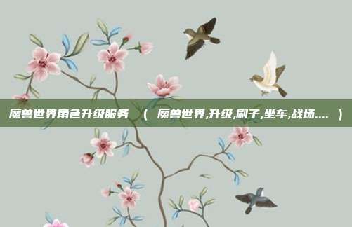 魔兽世界角色升级服务 （ 魔兽世界,升级,刷子,坐车,战场.... ）