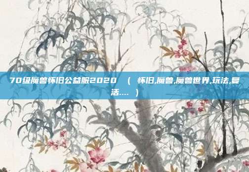 70级魔兽怀旧公益服2020 ( 怀旧,魔兽,魔兽世界,玩法,复活.... )