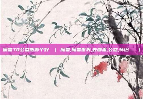 魔兽70公益服哪个好 （ 魔兽,魔兽世界,去哪里,公益,怀旧.... ）