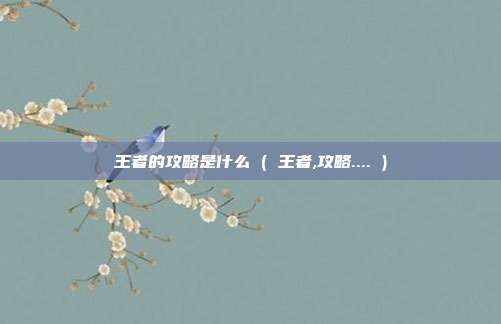 王者的攻略是什么 ( 王者,攻略.... )