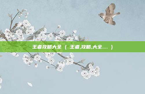 王者攻略大全 ( 王者,攻略,大全.... )