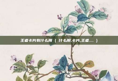 王者卡片有什么用 ( 什么用,卡片,王者.... )