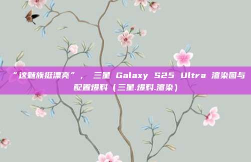 “这魅族挺漂亮”，​三星 Galaxy S25 Ultra 渲染图与配置爆料（三星.爆料.渲染）