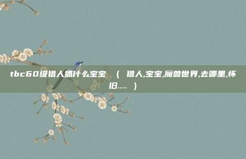 tbc60级猎人抓什么宝宝 （ 猎人,宝宝,魔兽世界,去哪里,怀旧.... ）