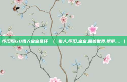 怀旧服60猎人宝宝选择 （ 猎人,怀旧,宝宝,魔兽世界,携带.... ）