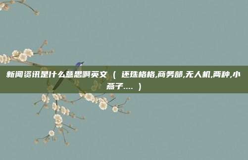 新闻资讯是什么意思啊英文 ( 还珠格格,商务部,无人机,两种,小燕子.... )