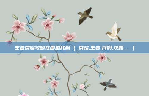 王者荣耀攻略在哪里找到 ( 荣耀,王者,找到,攻略.... )