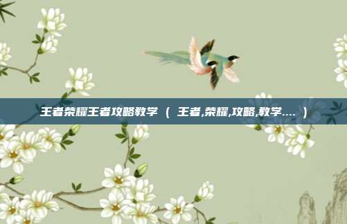 王者荣耀王者攻略教学 ( 王者,荣耀,攻略,教学.... )