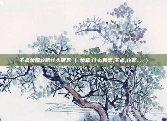 王者荣耀攻略什么意思 ( 荣耀,什么意思,王者,攻略.... )
