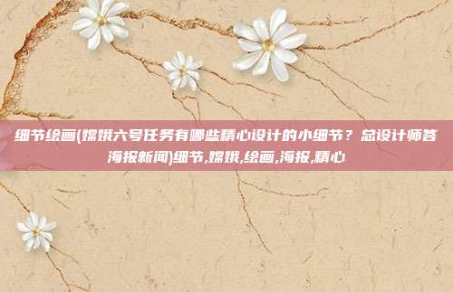 细节绘画(嫦娥六号任务有哪些精心设计的小细节？总设计师答海报新闻)细节,嫦娥,绘画,海报,精心