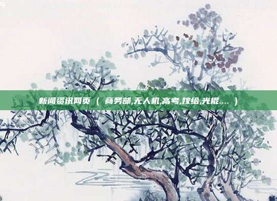 新闻资讯网页 ( 商务部,无人机,高考,嫁给,光棍.... )