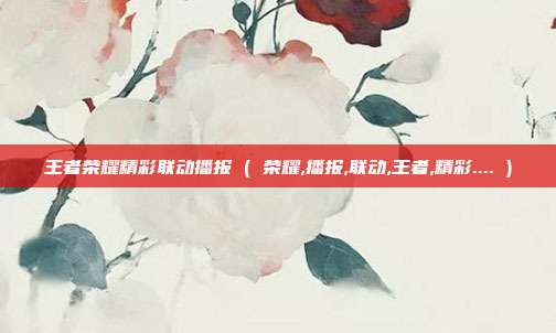 王者荣耀精彩联动播报 ( 荣耀,播报,联动,王者,精彩.... )
