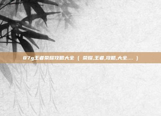 87g王者荣耀攻略大全 ( 荣耀,王者,攻略,大全.... )