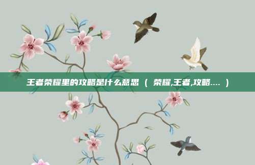 王者荣耀里的攻略是什么意思 ( 荣耀,王者,攻略.... )