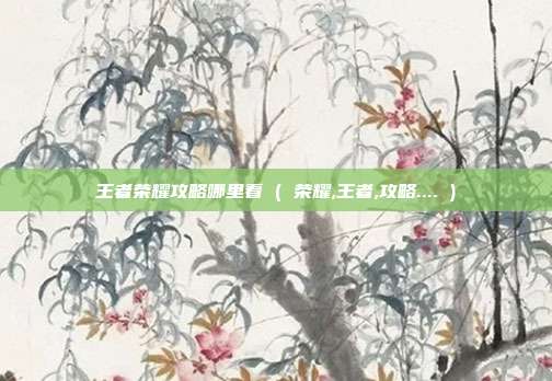 王者荣耀攻略哪里看 ( 荣耀,王者,攻略.... )