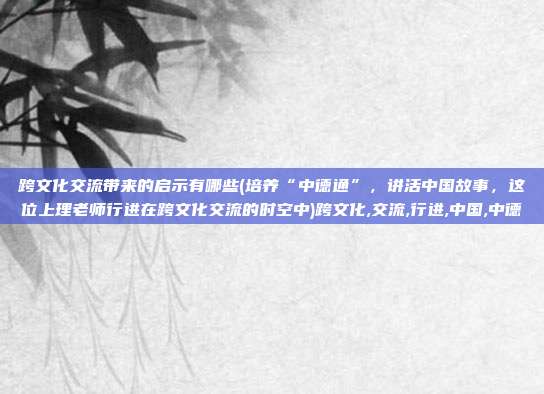跨文化交流带来的启示有哪些(培养“中德通”，讲活中国故事，这位上理老师行进在跨文化交流的时空中)跨文化,交流,行进,中国,中德