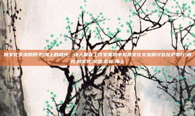 跨文化交流的例子(海上的霞光：诗人秦菲工作室策划中拉跨文化交流研讨会在沪举行)霞光,跨文化,交流,会在,海上