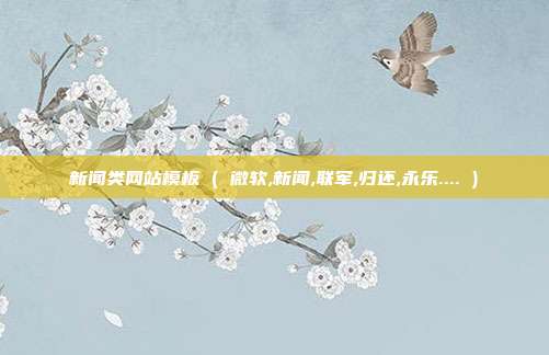 新闻类网站模板 ( 微软,新闻,联军,归还,永乐.... )