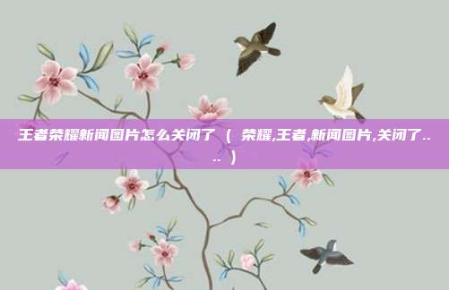 王者荣耀新闻图片怎么关闭了 ( 荣耀,王者,新闻图片,关闭了.... )