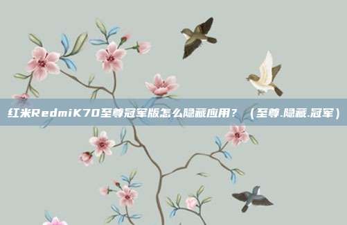 红米RedmiK70至尊冠军版怎么隐藏应用？（至尊.隐藏.冠军）