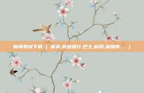 新闻素材下载 ( 菁英,商业银行,巴士,标段,深圳市.... )