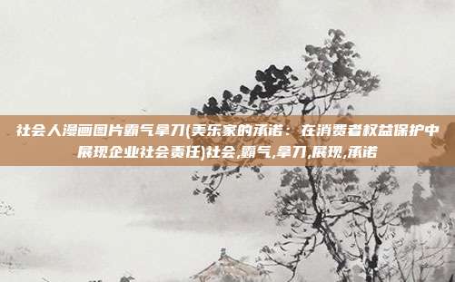 社会人漫画图片霸气拿刀(美乐家的承诺：在消费者权益保护中展现企业社会责任)社会,霸气,拿刀,展现,承诺