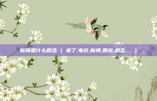 新闻是什么概念 ( 来了,电价,新闻,回应,概念.... )