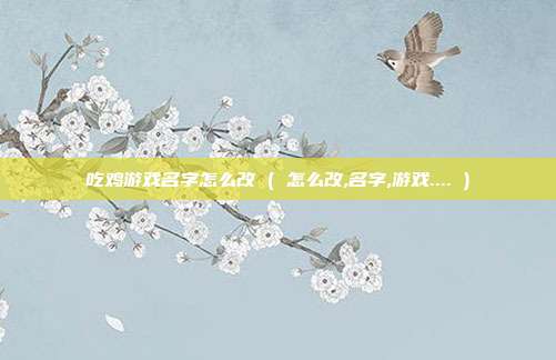 吃鸡游戏名字怎么改 ( 怎么改,名字,游戏.... )