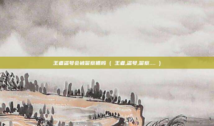 王者盗号会被警察抓吗 ( 王者,盗号,警察.... )
