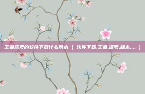 王者盗号的软件下载什么版本 ( 软件下载,王者,盗号,版本.... )