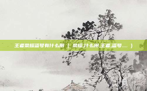 王者荣耀盗号有什么用 ( 荣耀,什么用,王者,盗号.... )