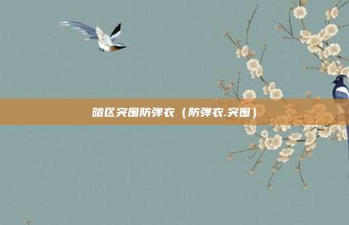 暗区突围防弹衣（防弹衣.突围）