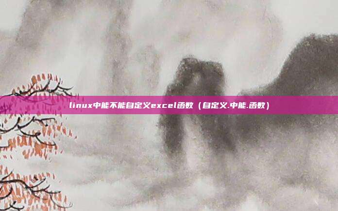 linux中能不能自定义excel函数（自定义.中能.函数）
