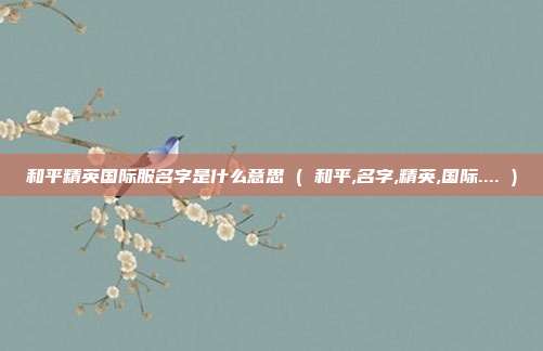 和平精英国际服名字是什么意思 ( 和平,名字,精英,国际.... )