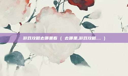 游戏攻略去哪里看 ( 去哪里,游戏攻略.... )