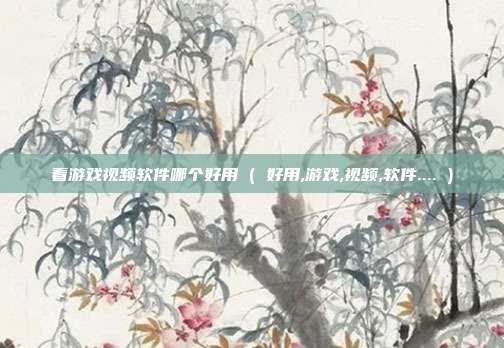 看游戏视频软件哪个好用 ( 好用,游戏,视频,软件.... )