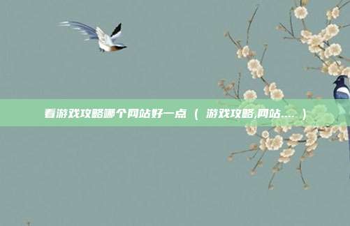 看游戏攻略哪个网站好一点 ( 游戏攻略,网站.... )