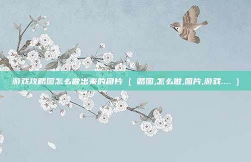 游戏攻略图怎么做出来的图片 ( 略图,怎么做,图片,游戏.... )