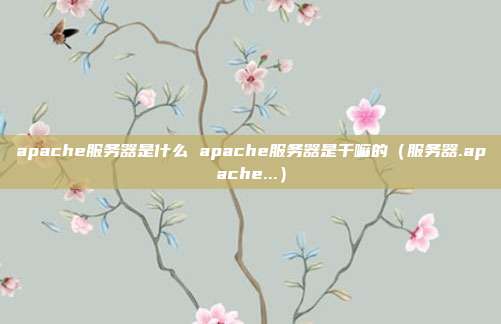 apache服务器是什么 apache服务器是干嘛的（服务器.apache...）
