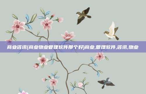 商业咨讯(商业物业管理软件那个好)商业,管理软件,咨讯,物业