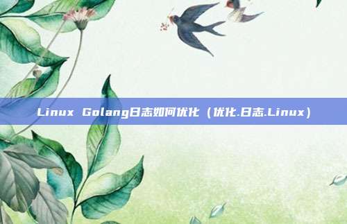 Linux Golang日志如何优化（优化.日志.Linux）