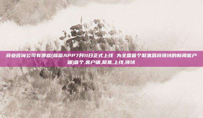 商业咨询公司有哪些(赣赢APP7月11日正式上线 为全国首个聚焦营商领域的新闻客户端)首个,客户端,聚焦,上线,领域