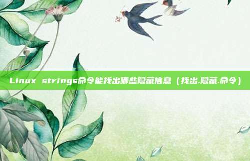 Linux strings命令能找出哪些隐藏信息（找出.隐藏.命令）