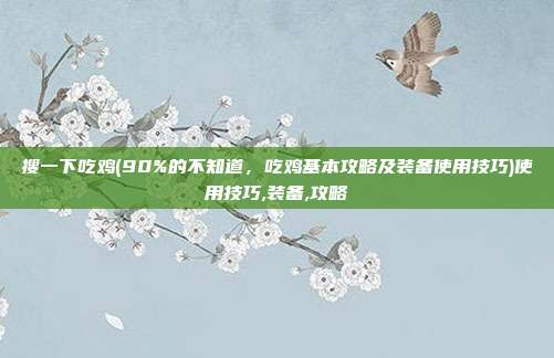 搜一下吃鸡(90%的不知道，吃鸡基本攻略及装备使用技巧)使用技巧,装备,攻略
