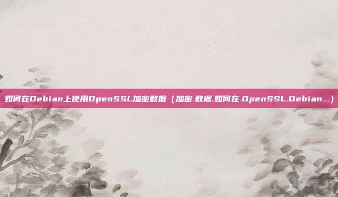 如何在Debian上使用OpenSSL加密数据（加密.数据.如何在.OpenSSL.Debian...）