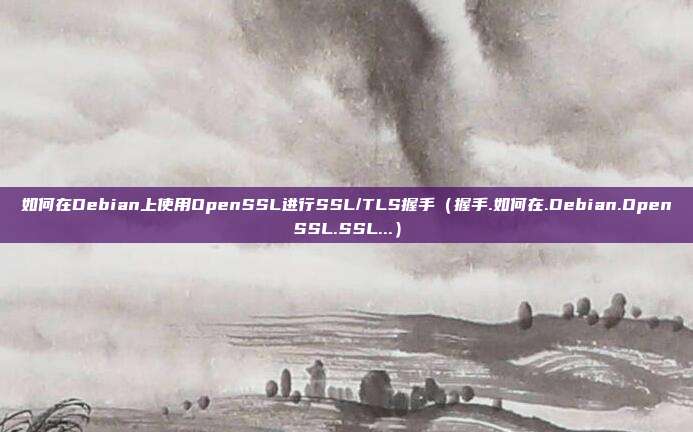 如何在Debian上使用OpenSSL进行SSL/TLS握手（握手.如何在.Debian.OpenSSL.SSL...）