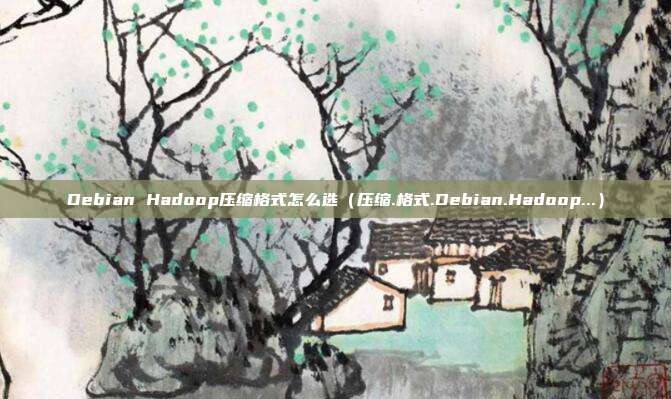 Debian Hadoop压缩格式怎么选（压缩.格式.Debian.Hadoop...）