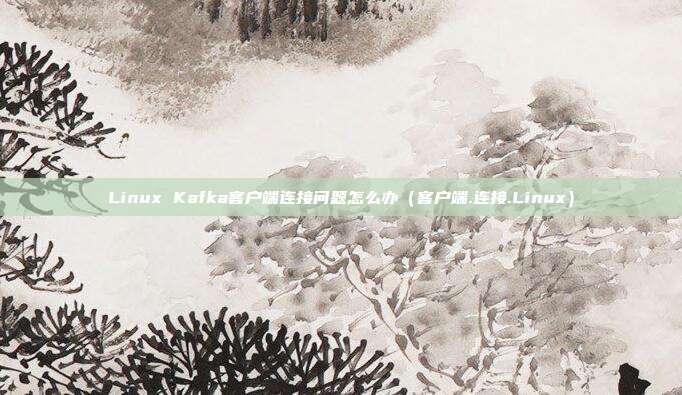 Linux Kafka客户端连接问题怎么办（客户端.连接.Linux）