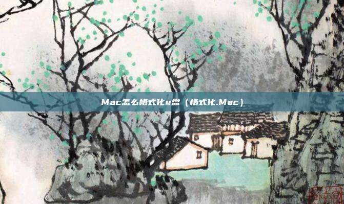 Mac怎么格式化u盘（格式化.Mac）