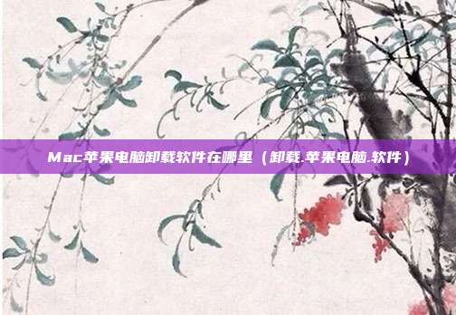 Mac苹果电脑卸载软件在哪里（卸载.苹果电脑.软件）